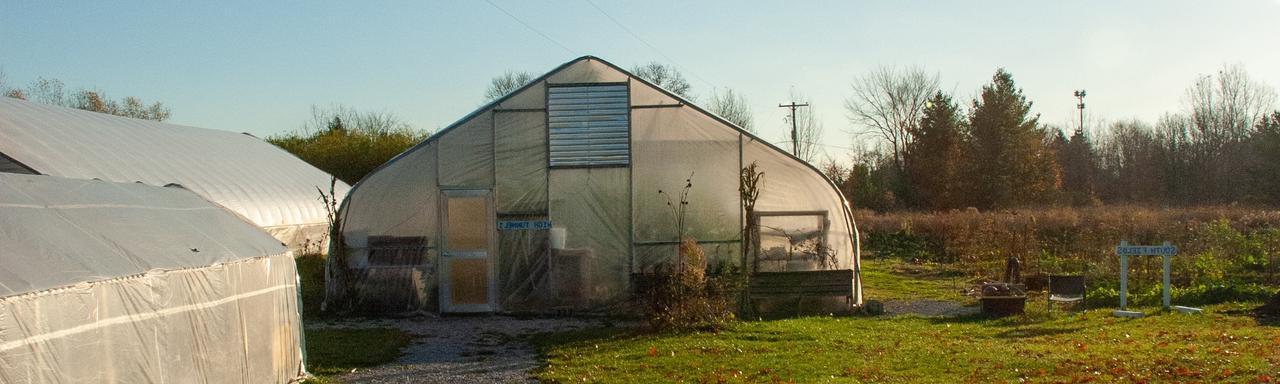 hoop house golden hour